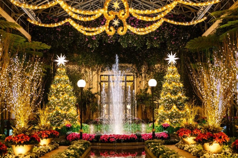 The Rehoboth Art League is sponsoring a Dec. 4 bus trip to view the dazzling indoor and outdoor holiday light displays at Longwood Gardens. SUBMITTED PHOTO